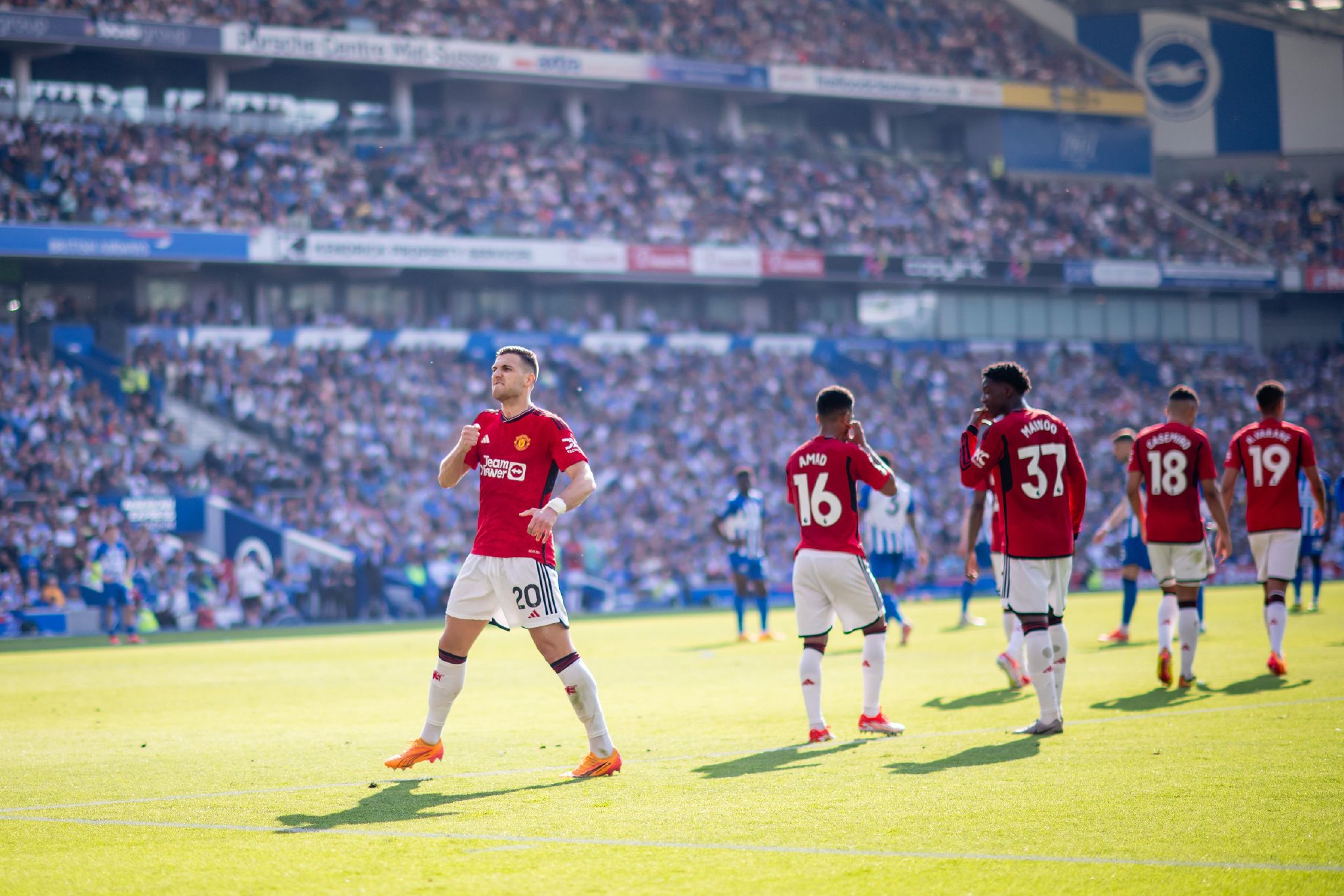 养了不同形 养了不同形